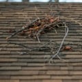 Signs Your San Diego Roof Needs Immediate Repair or Replacement