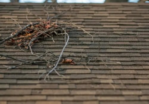 Signs Your San Diego Roof Needs Immediate Repair or Replacement